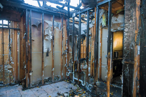 Professional Fire Damage Removal technician working in Whitewright, TX